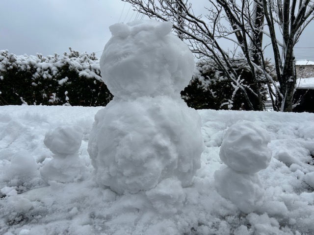 雪が降った